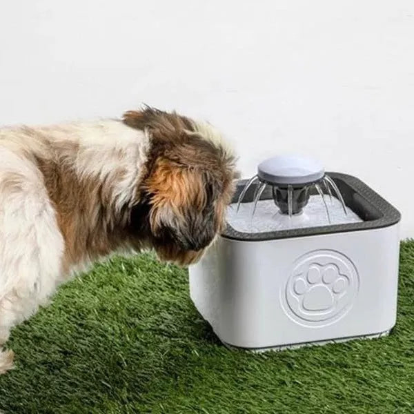 Fuente Dispensado De Agua Para Mascotas